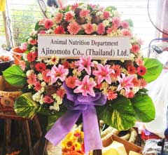 ส่งพวงหรีดวัดบางพลีใหญ่-Ajinomoto