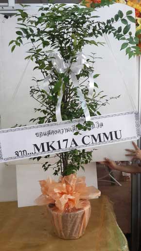 ร้านพวงหรีดวัดขจรรังสรรค์ ในเครือพวงหรีดธรรมะ อำเภอเมือง จ.ภูเก็ต จาก MK17A CMMU