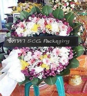 ร้านพวงหรีด ตำบลวังชัย อำเภอบรบือ จังหวัดมหาสารคาม จากจัดหา SCG Packaging