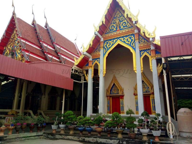 โบสถ์ วัดพลมานีย์ ภาพโดยร้านพวงหรีดธรรมะ
