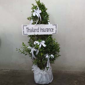ร้านพวงหรีดวัดปริวาส พวงหรีดจาก Thai Insurance