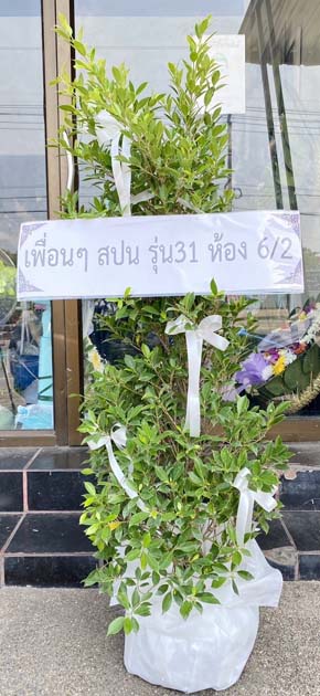 ร้านพวงหรีดวัดเวตวันธรรมาวาส นนทบุรี พวงหรีดจากสปน รุ่น 31 62