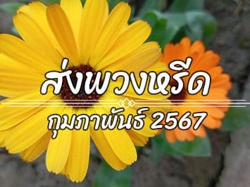 ประวัติการส่งพวงหรีดประจำเดือนกุมภาพันธ์ 2567