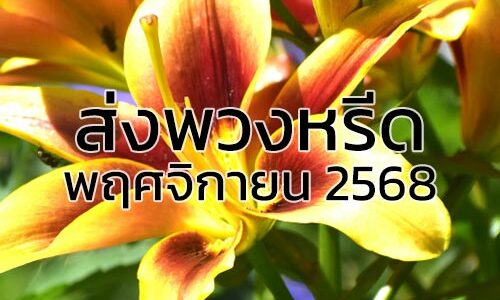 ส่งพวงหรีด พ.ย. 2568