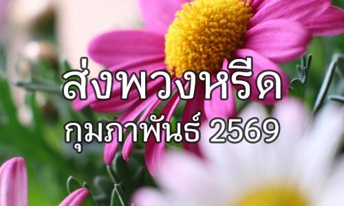 ประวัติส่งพวงหรีด ก.พ. 2569 ประวัติส่งพวงหรีด 02 2569