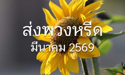 ประวัติส่งพวงหรีด มี.ค. 2569 ประวัติส่งพวงหรีด 03 2569