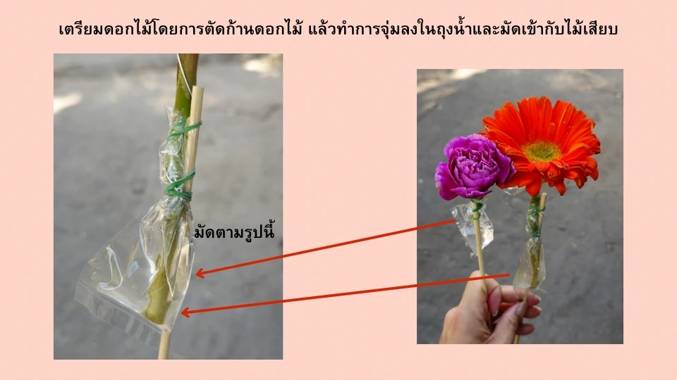 วิธีเตรียมดอกไม้สำหรับจัดพวงหรีด ให้มัดถุงน้ำกับก้านดอกไม้และไม้เสียบด้วยหนังยาง