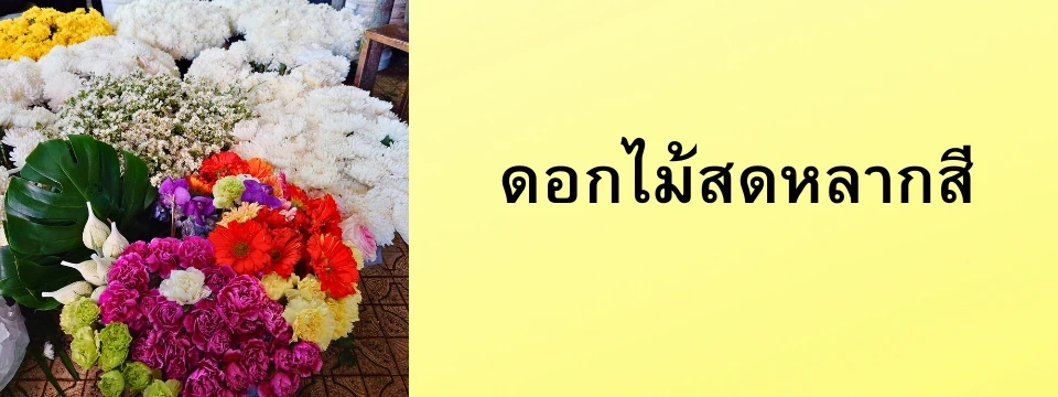 ดอกไม้สดหลากสี สำหรับนำมาจัดพวงหรีด