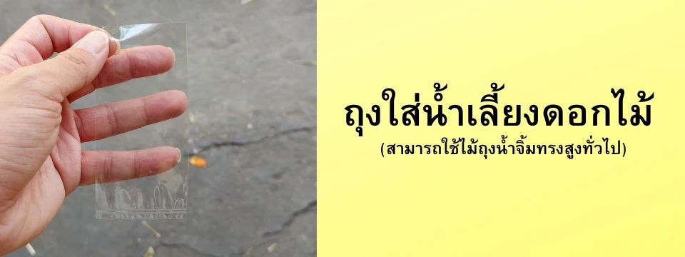 ถุงน้ำสำหรับใส่น้ำเลี้ยงดอกไม้