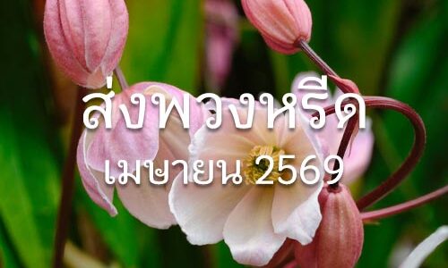 ประวัติส่งพวงหรีด เม.ย. 2569 ประวัติส่งพวงหรีด 04 2569