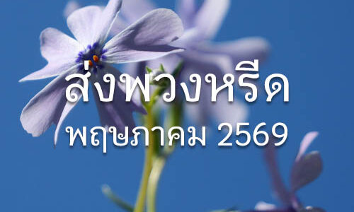 ประวัติส่งพวงหรีด พ.ค. 2569 ประวัติส่งพวงหรีด 05 2569