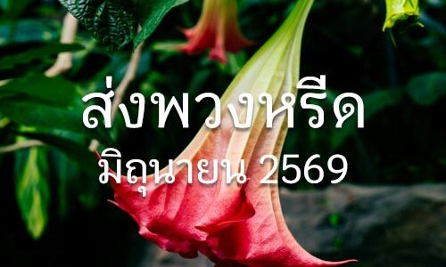 ประวัติส่งพวงหรีด มิ.ย. 2569 ประวัติส่งพวงหรีด 06 2569