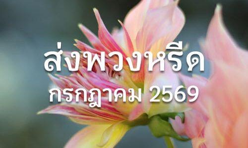 ประวัติส่งพวงหรีด ก.ค. 2569 ประวัติส่งพวงหรีด ก.ค. 2569