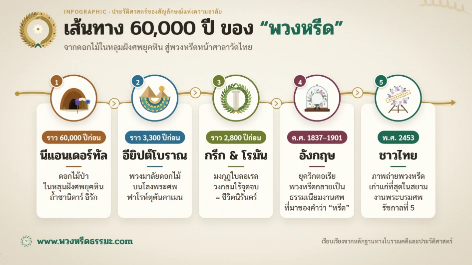 ที่มาของพวงหรีดกว่า 60,000 ปีตั้งแต่ยุคมนุษย์นีแอนเดอร์ทัล-อียิปต์-กรีกโรมัน-อังกฤษ-ประเทศไทย